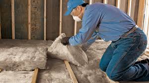 Best Crawl Space Insulation  in Dewitt, IA