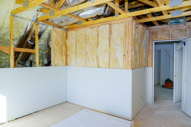 Best Commercial Insulation Services  in Dewitt, IA